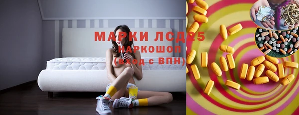 сатива Беломорск