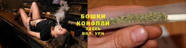 сатива Беломорск