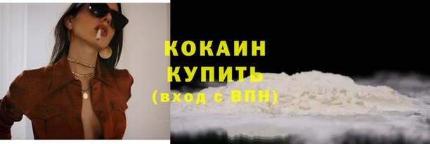 сатива Беломорск