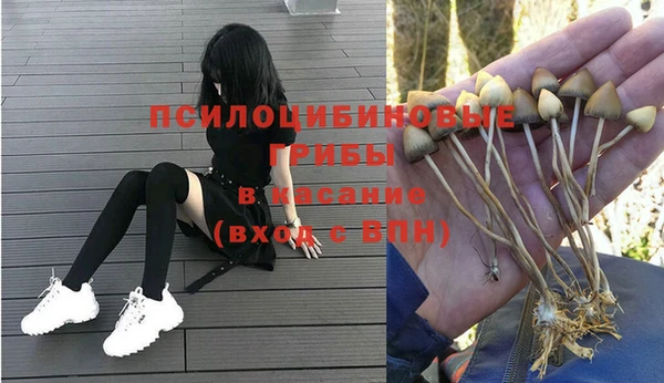 метамфетамин Белокуриха