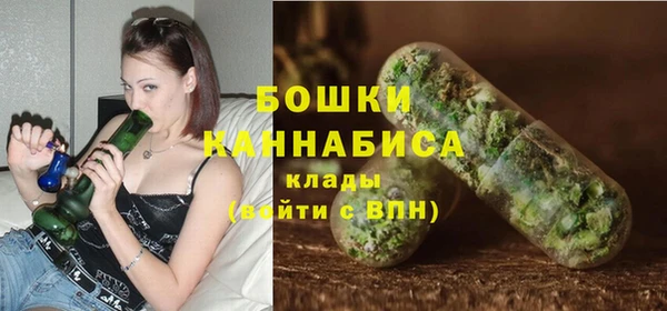 сатива Беломорск