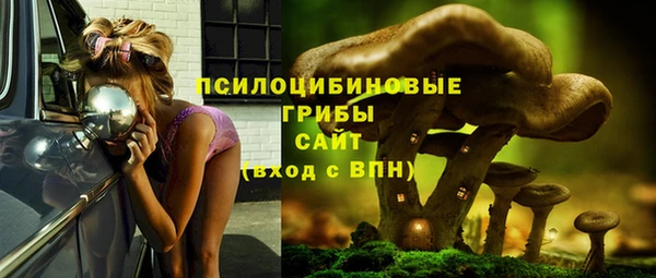 метамфетамин Белокуриха