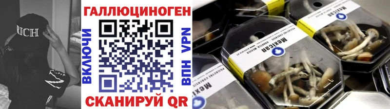 Псилоцибиновые грибы Psilocybe  Кола 